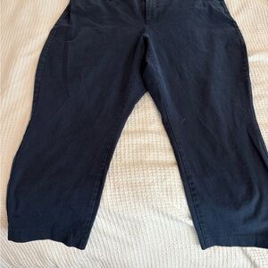 Old Navy Dark Blue Curvy Pixie Pants